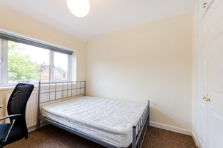 88 Fir Tree 2